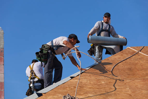 Best Commercial Roof Installation  in Adel, GA